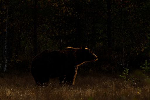 WP_Galerie_Portfolio_0020